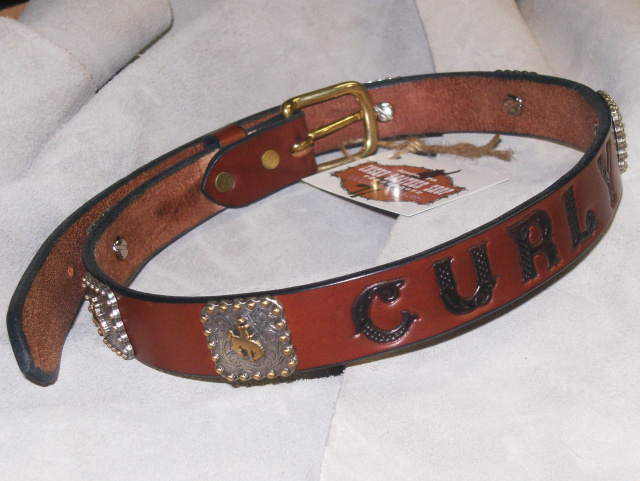 Kids Western Concho Belt 