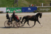2016 World Single Horse Combined Driving Champions